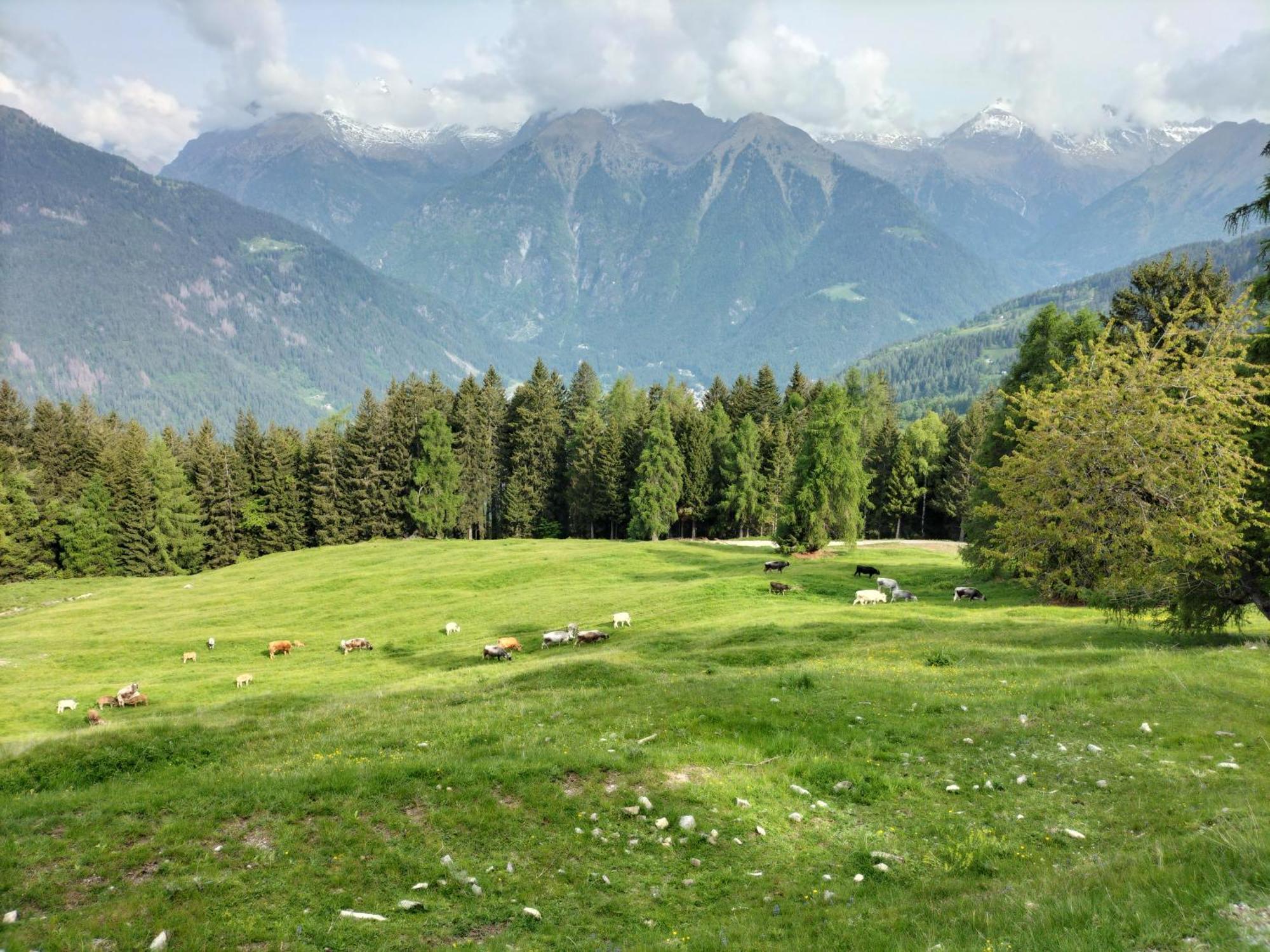 Malga Plan
